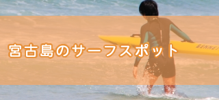 毒などを持つ危ない生き物に刺された時